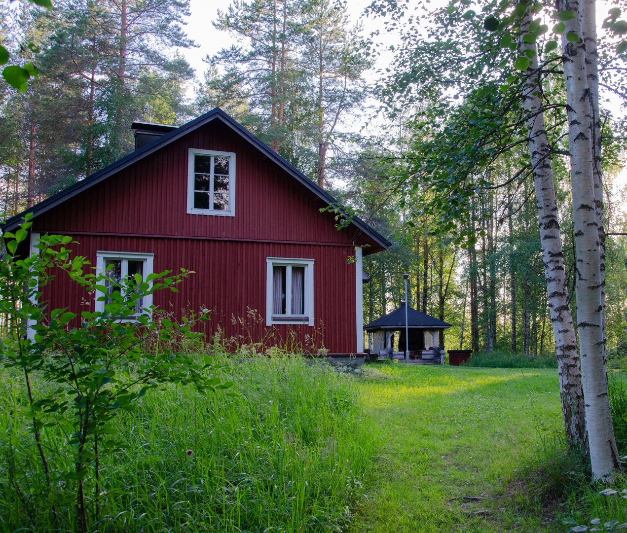 Ruotinniemi Koitereella